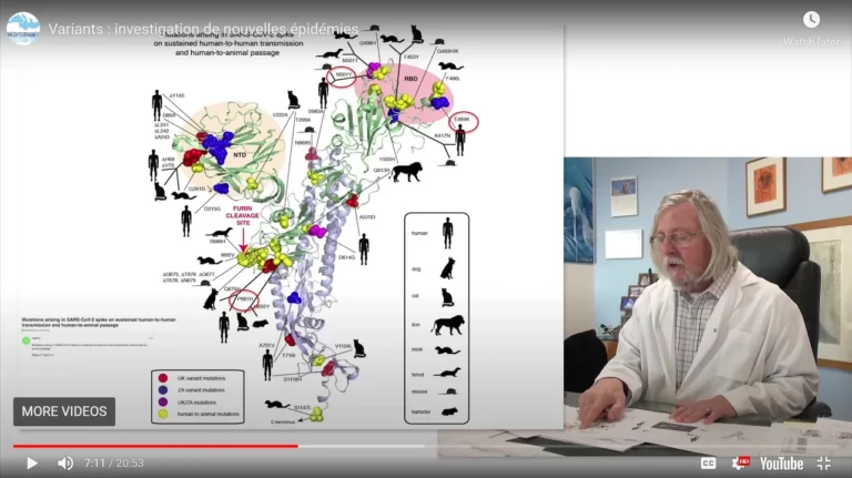 Investigation of various Sars-Cov-2 strains by Pr Didier Raoult